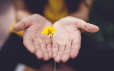 Cosa è Voc-Azione?